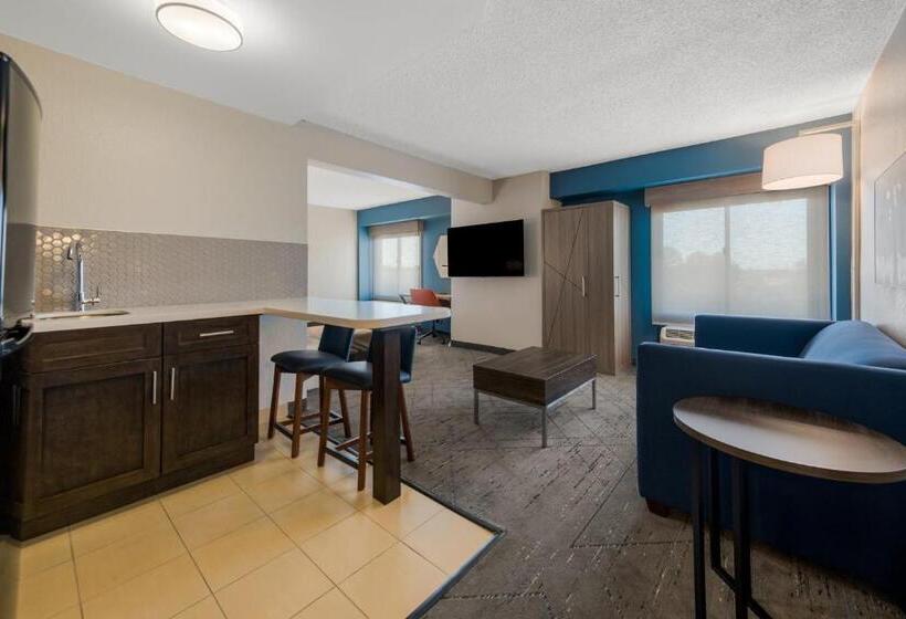 스위트 킹사이즈 침대, Holiday Inn Express Hotels  Hampton, An Ihg