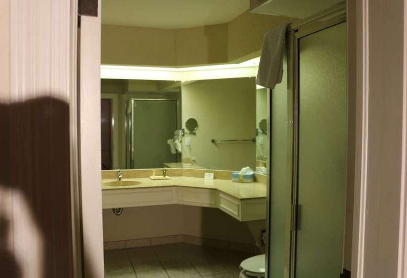 Президентский Люкс, Imperial Swan Hotel And Suites Lakeland