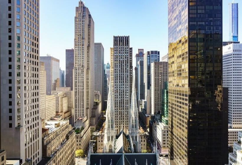 高级客房, Lotte New York Palace