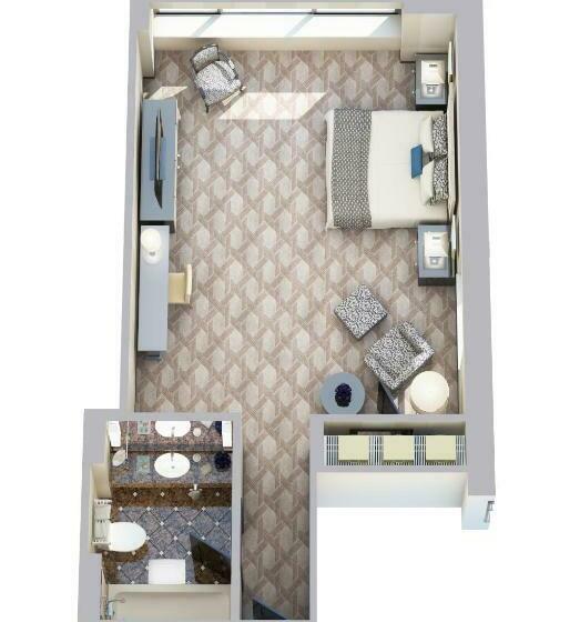 带观景的标准工作室, Lotte New York Palace