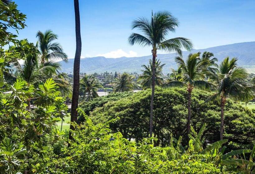 스탠다드 룸 더블 침대 2개, Sheraton Maui Resort & Spa