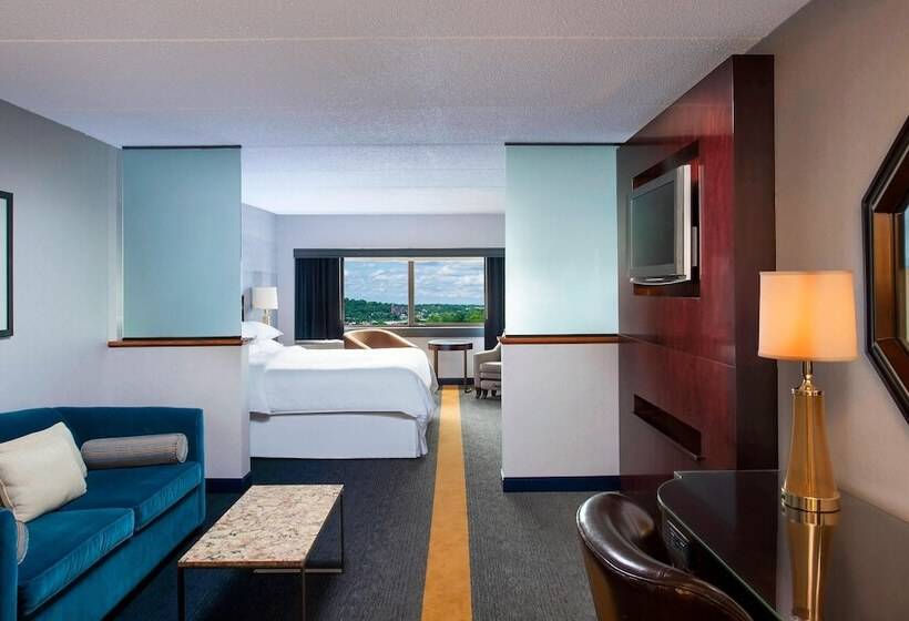 Полулюкс, Sheraton Syracuse University  & Conference Center