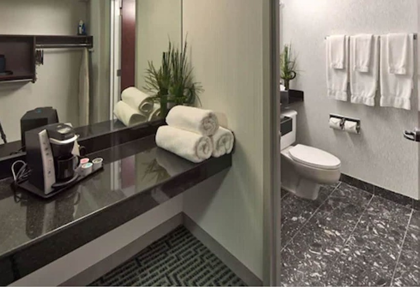 Номер Deluxe, Somerset Inn Troy