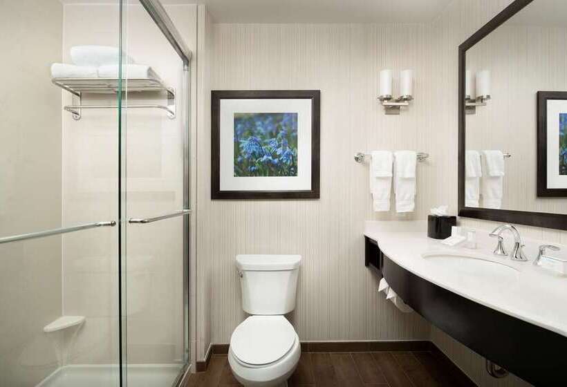 프리미엄 룸, The Cincinnatian Hotel Curio Collection By Hilton