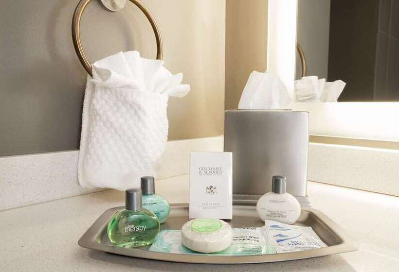 스탠다드 룸, The Cincinnatian Hotel Curio Collection By Hilton