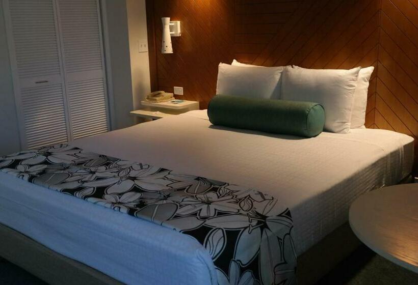 스탠다드 룸, Oasis Hotel Waikiki