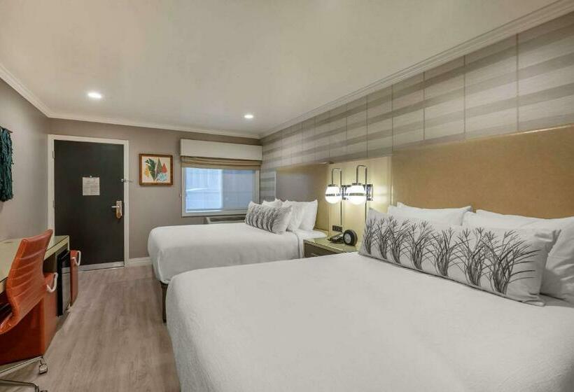 Номер Стандарт, Bluestem Hotel Torrance Los Angeles, Ascend Hotel Collection