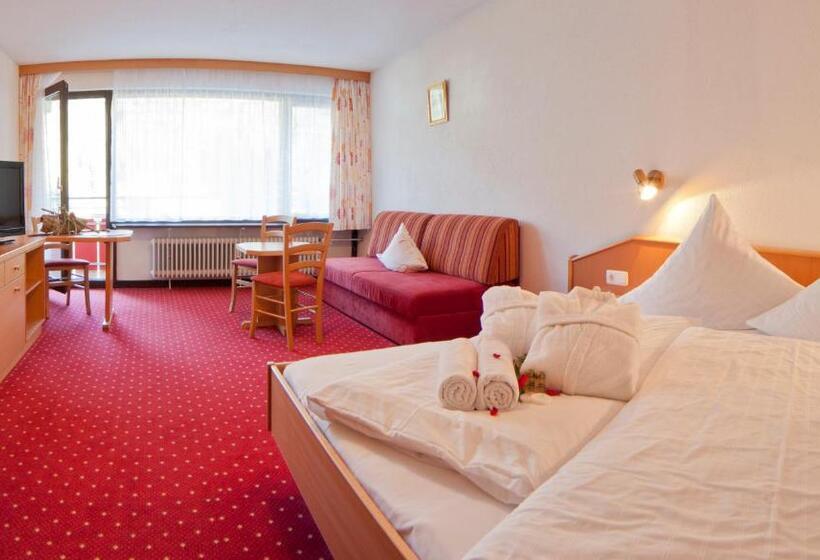 Номер Стандарт, Aparthotel Kleinwalsertal