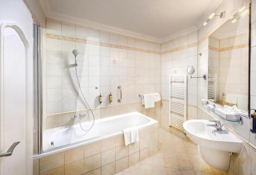 스탠다드 싱글 룸, Grand Hotel Starý Smokovec