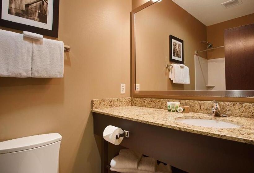 Стандартный Номер Кровать Кинг, Best Western Plus Night Watchman Inn & Suites