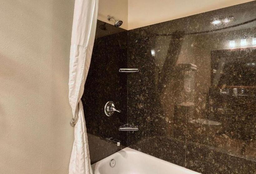 Люкс Кровать Кинг, Comfort Suites Appleton Airport