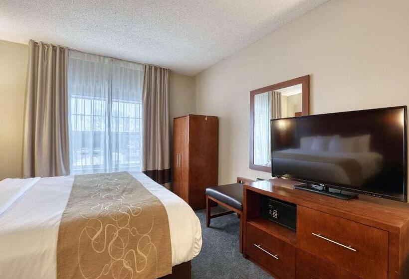 Люкс Кровать Кинг, Comfort Suites Appleton Airport