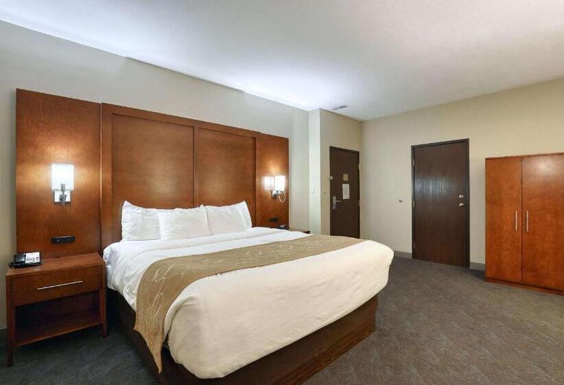Люкс Executive Кровать Кинг, Comfort Suites Appleton Airport