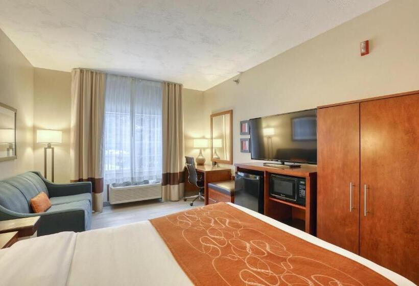 Люкс Адаптированный для Инвалидов, Comfort Suites Appleton Airport