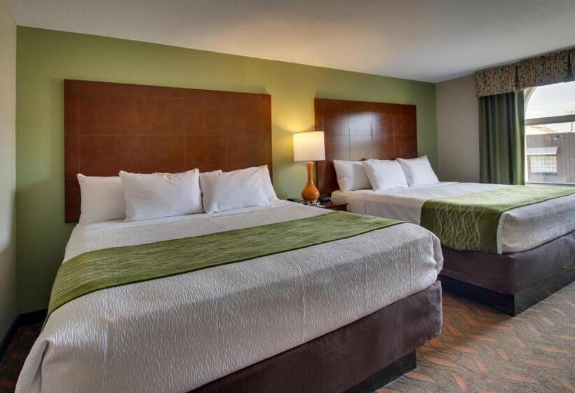 스탠다드 룸, Wingfield Inn & Suites