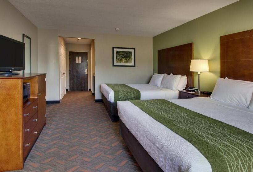 스탠다드 룸, Wingfield Inn & Suites