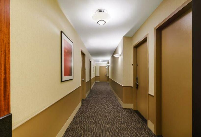 اتاق استاندارد برای معلولان, Millennium Hotel Broadway Times Square