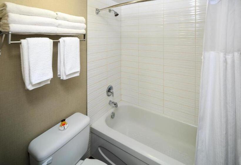 スタンダードスタジオ, Accent Inns Kelowna