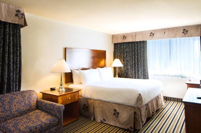 キングサイズベッドのエクゼクティブルーム, Best Western Plus Suites Downtown Calgary