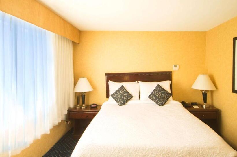 １ベッドルームアパートメント, Best Western Plus Suites Downtown Calgary
