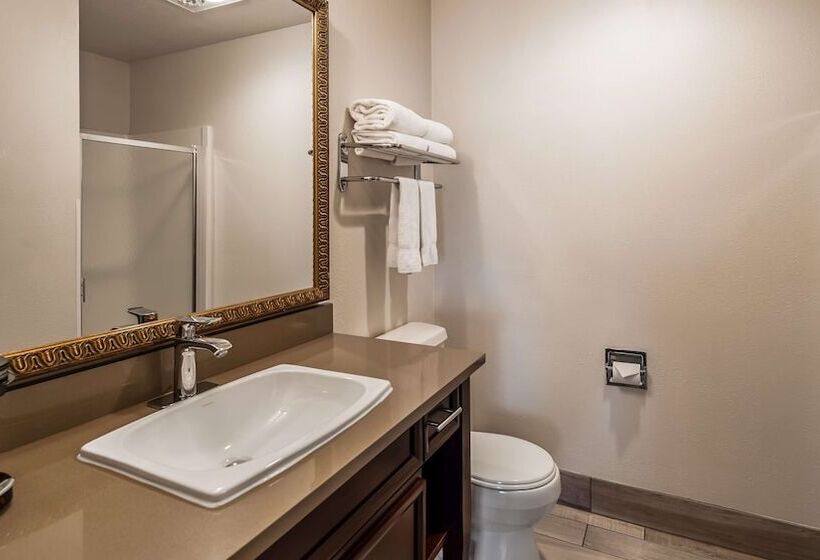 Люкс, Best Western Salbasgeon Inn & Suites