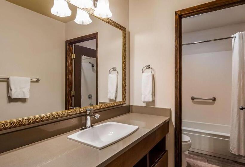 스탠다드 룸, Best Western Salbasgeon Inn & Suites