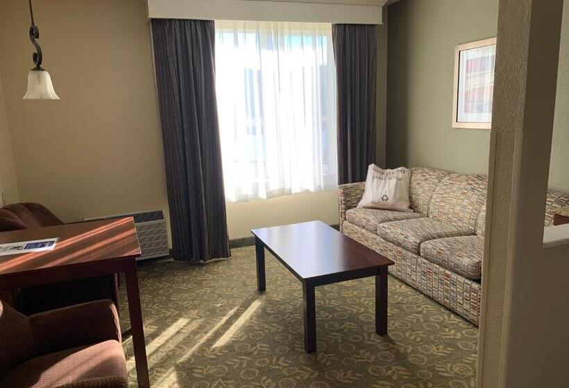 Стандартный Номер Кровать Кинг, Best Western Salbasgeon Inn & Suites