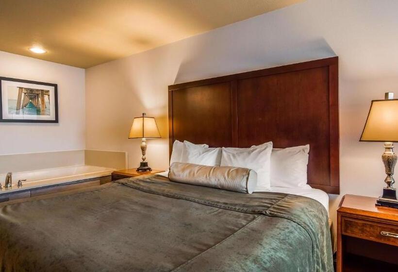 Люкс Кровать Кинг, Best Western Salbasgeon Inn & Suites