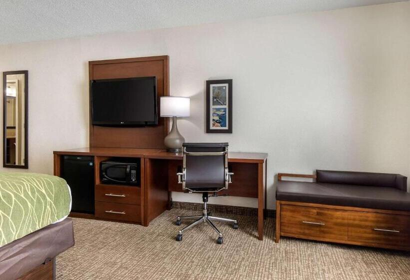 스탠다드 룸 킹사이즈 침대, Comfort Inn