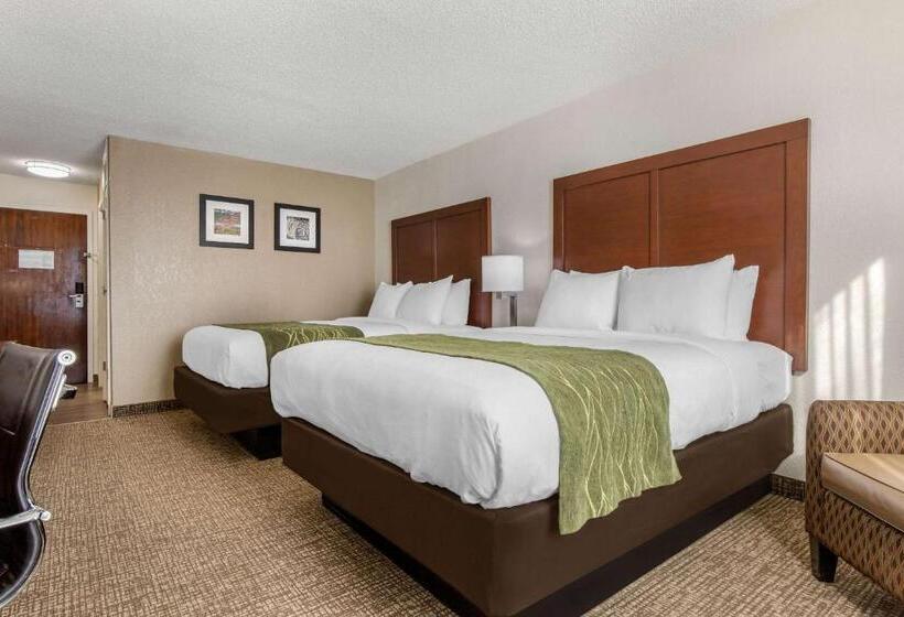 스탠다드 룸, Comfort Inn