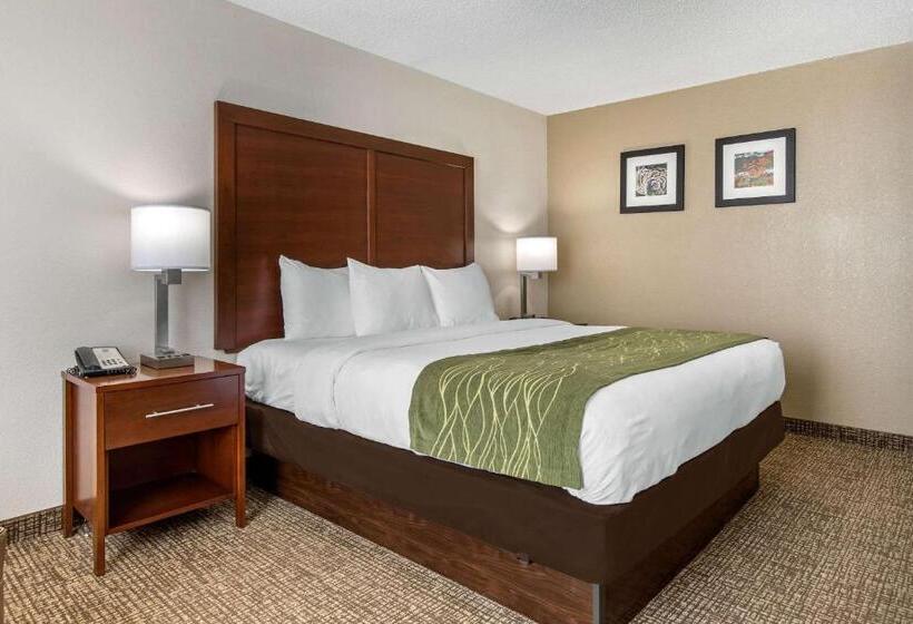 장애인을 위한 킹사이즈 침대 스탠다드 룸, Comfort Inn