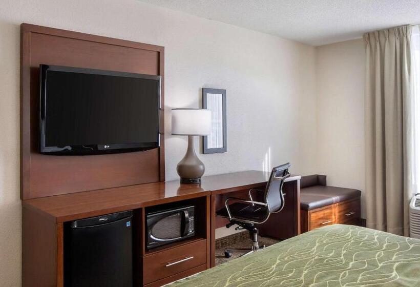 장애인을 위한 킹사이즈 침대 스탠다드 룸, Comfort Inn