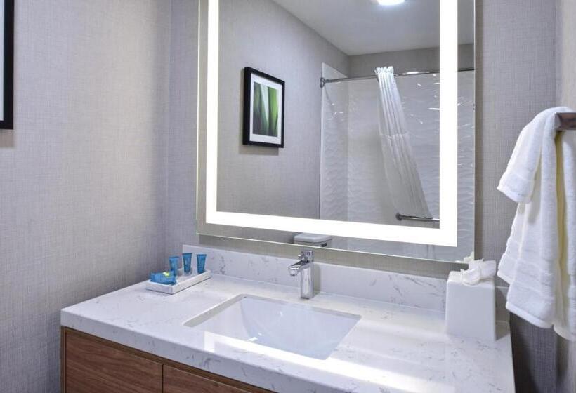اتاق استاندارد با تخت بزرگ, Modesto