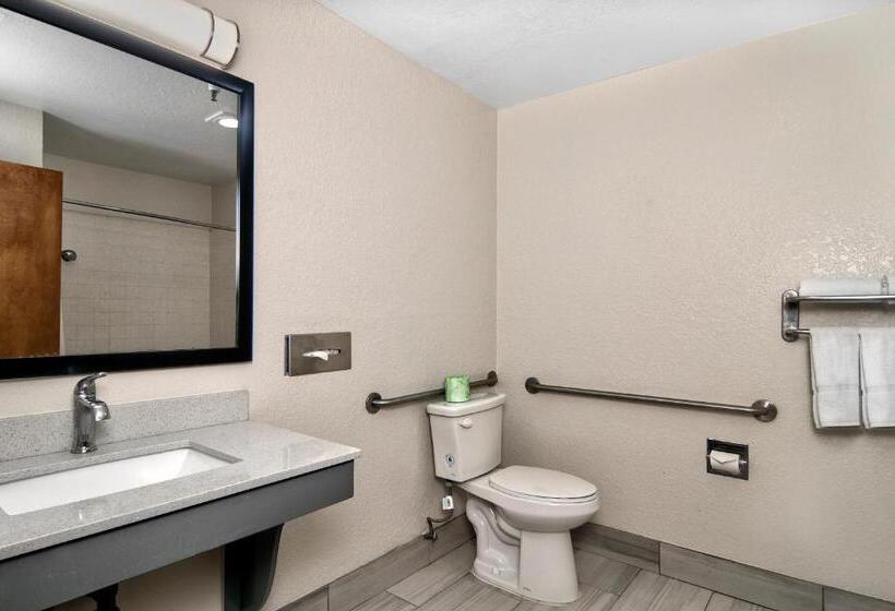 Стандартный Номер Кровать Кинг, Quality Inn & Suites South San Jose / Morgan Hill