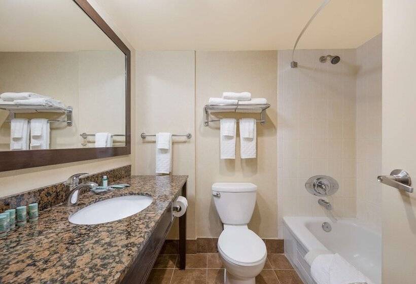 Номер Стандарт 2 Двуспальные Кровати, Best Western Voyageur Place