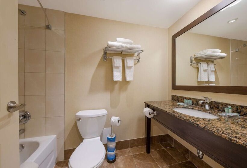 Люкс, Best Western Voyageur Place