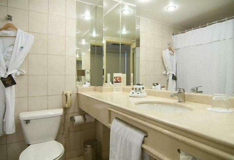 اتاق استاندارد, Park Plaza Santiago