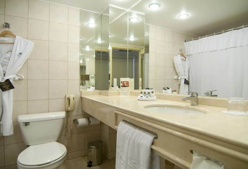 اتاق استاندارد, Park Plaza Santiago