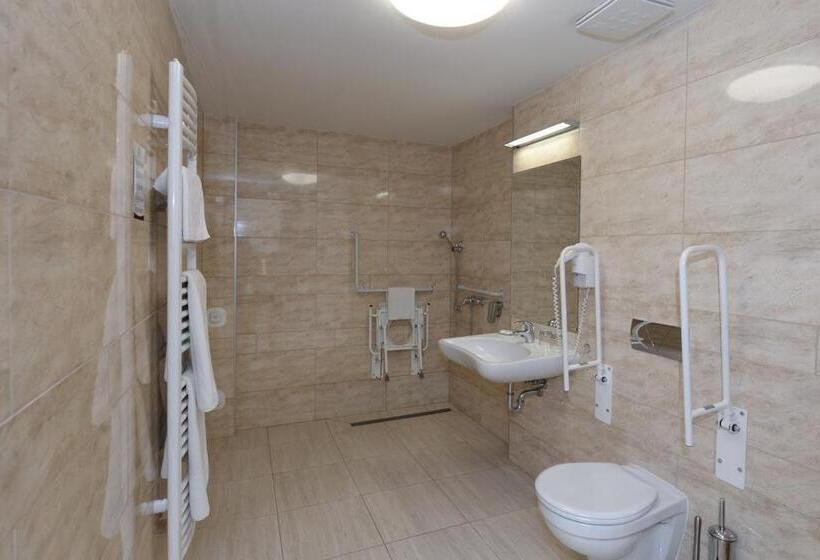 Номер Стандарт Адаптированный для Инвалидов, Hunguest Hotel Gyula