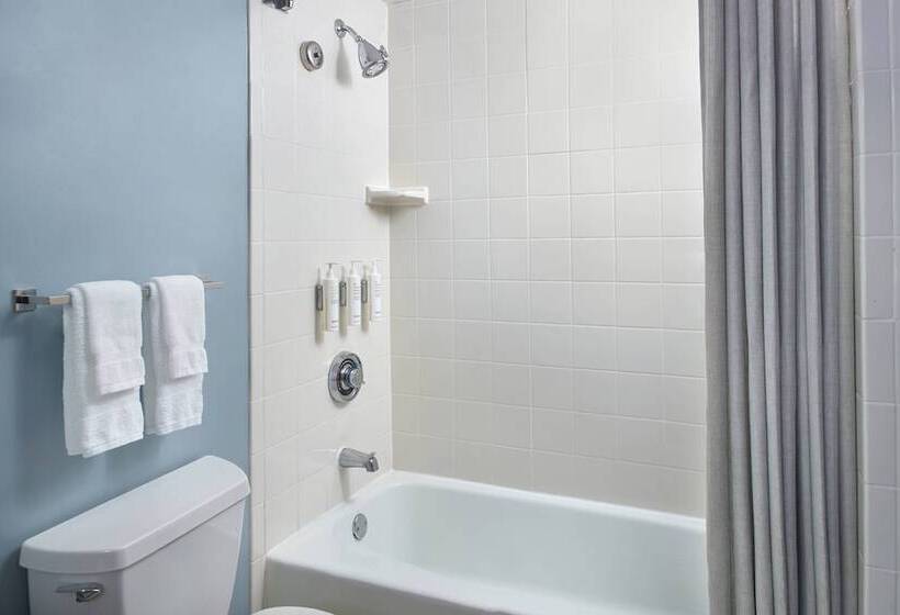 Номер Стандарт 2 Двуспальные Кровати, Atlanta Evergreen Lakeside Resort