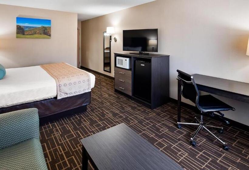 스탠다드 룸 킹사이즈 침대, Best Western Airport Inn
