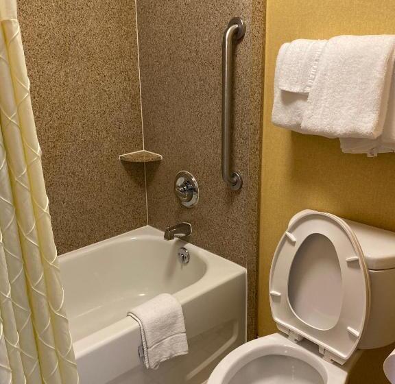 Трехместный Номер Базовый, Deluxe Inn   Fayetteville I 95