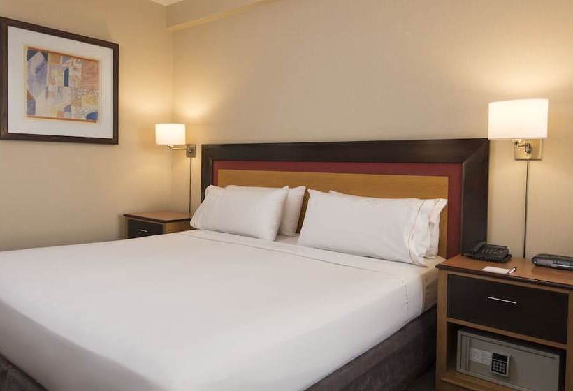 اتاق استاندارد با تخت دوبل, Holiday Inn Express Puerto Madero, An Ihg
