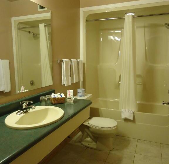 스탠다드 룸 킹사이즈 침대, Canway Inn & Suites