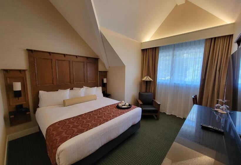 带大床的豪华间, Kilmorey Lodge