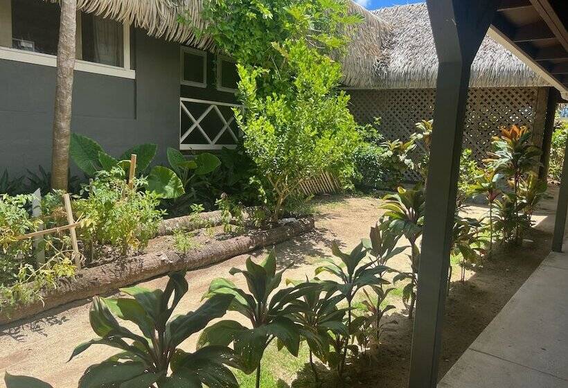 استودیوی استاندارد, Club Raro Resort  Adults Only