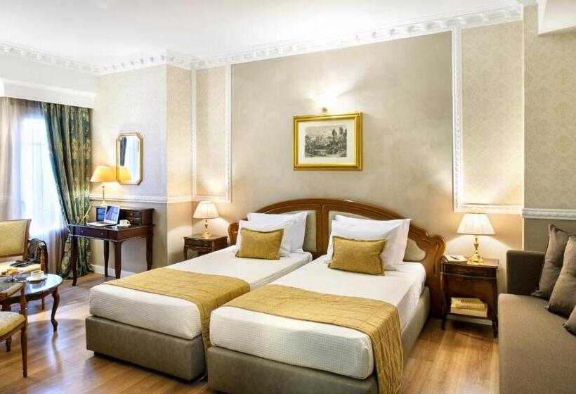 غرفة كلاسيكية, Mediterranean Palace