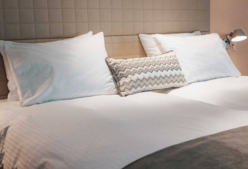 스탠다드 룸, Domotel Olympia