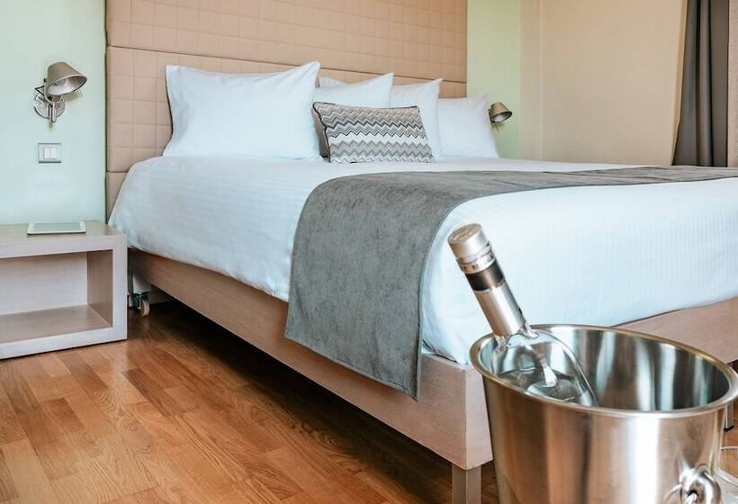 이그제큐티브 룸, Domotel Olympia