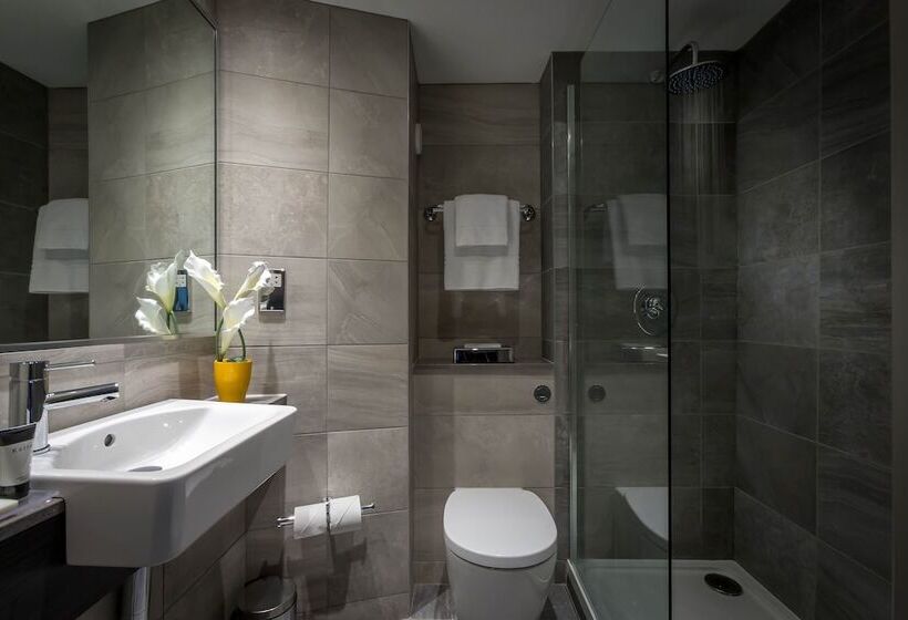침실 1개 디럭스 아파트, Maldron Hotel Pearse Street Dublin City